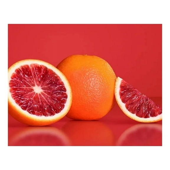 Grafted Semi Dwarf MORO Blood Orange. ships in 1 gallon pot free to all states. 1-2 years to fruit.
