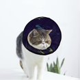 thumbnail image 1 of Shark Soft Cat Dog Recovery Collar Adjustable Cat Cone Wound Healing Protective After Surgery for Puppy, 1 of 7