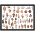 thumbnail image 3 of 26x22 Black Shadowbox Frame - Interior Size 26x22 by 2 Inches - Made to Display Items Up To 1.75 Inches Deep, 3 of 8