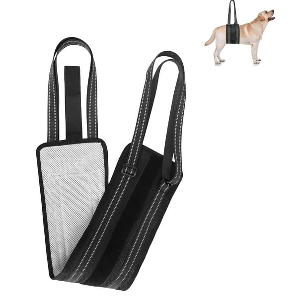 Dog hip lift harness hot sale