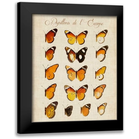 Vision Studio 12x14 Black Modern Framed Museum Art Print Titled - Papillons de LEurope II