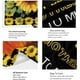 thumbnail image 4 of LHSHID to My Mom Blanket from Daughter Mom Gifts for Mother's Day Birthday Flannel Fleece Lightweight Soft Warm Throw Blankets for Home Office Sofa Gifts Sunflower Blanket 30"x40", 4 of 7