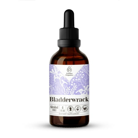 Bladderwrack Extract, Natural Herbal Supplement for Thyroid Function Support, Bladderwrack (Fucus vesiculosus) Dried Plant Tincture, Alcohol-Free, Drops 4 oz