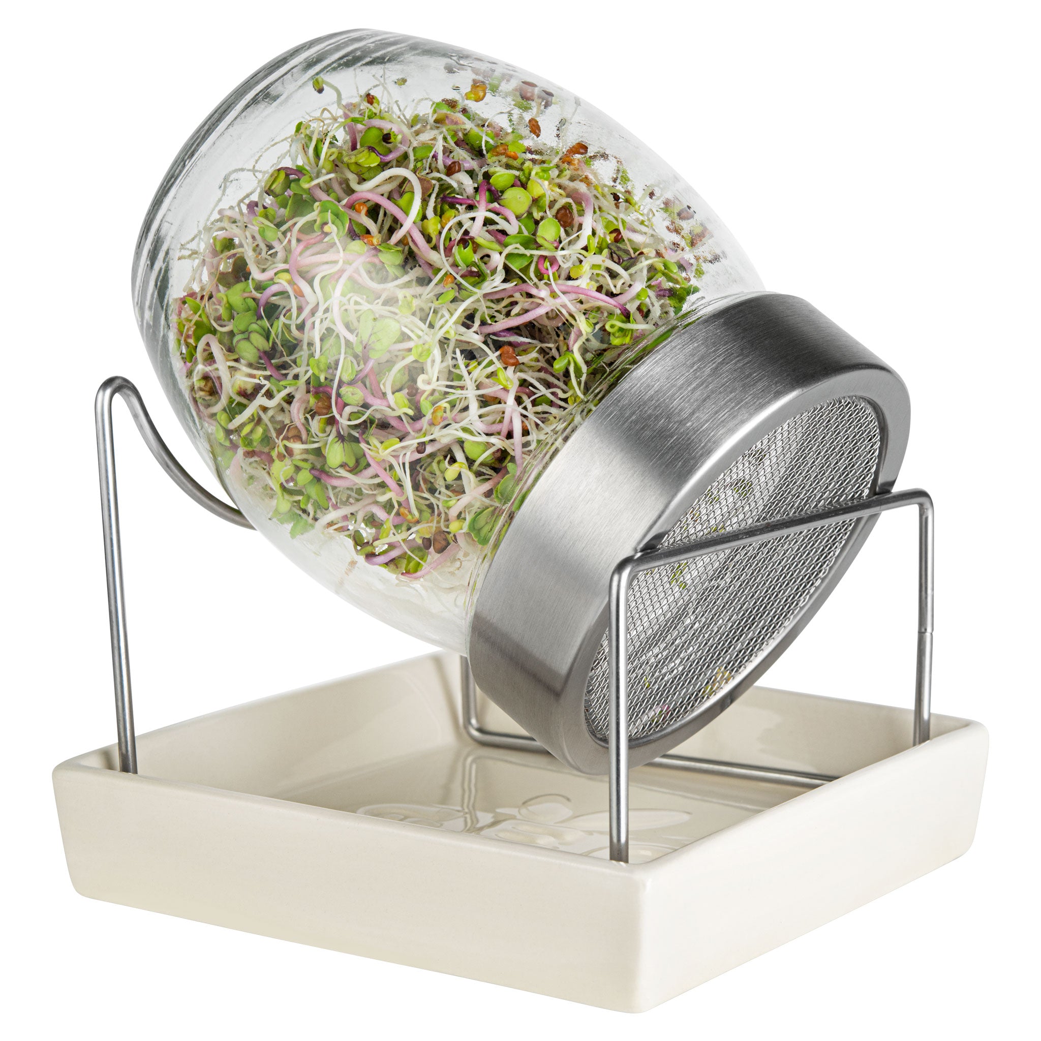 GEO Sprouting Jar System with Stainless Steel Rack and Ceramic Base