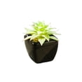 thumbnail image 1 of Inteprter Planta de decoración de de bonsái en maceta de cerámica suculenta verde Artificial para jardín, oficina, balcón, decoración Type2 NO2, 1 of 6