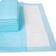 thumbnail image 2 of QARUN 2026 New 40Pcs Puppy Pads Pet Training Puppy Essentials Develop Habits Pee Pads for Dogs Blue L for House Training Puppies Indoor Use Pet Care Travel., 2 of 6