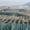 Tequila Jalisco Agave Field, variant on Elephant Stock Tequila Jalisco Agave Field Wall Art - Horizontal Canvas Wall Art - Living Room Wall Decor - Nature Canvas - Teal And Blue Decor - 45" x 30"