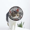 thumbnail image 1 of Berlin Street View Soft Cat Dog Recovery Collar Adjustable Cat Cone Wound Healing Protective After Surgery for Cats, 1 of 1