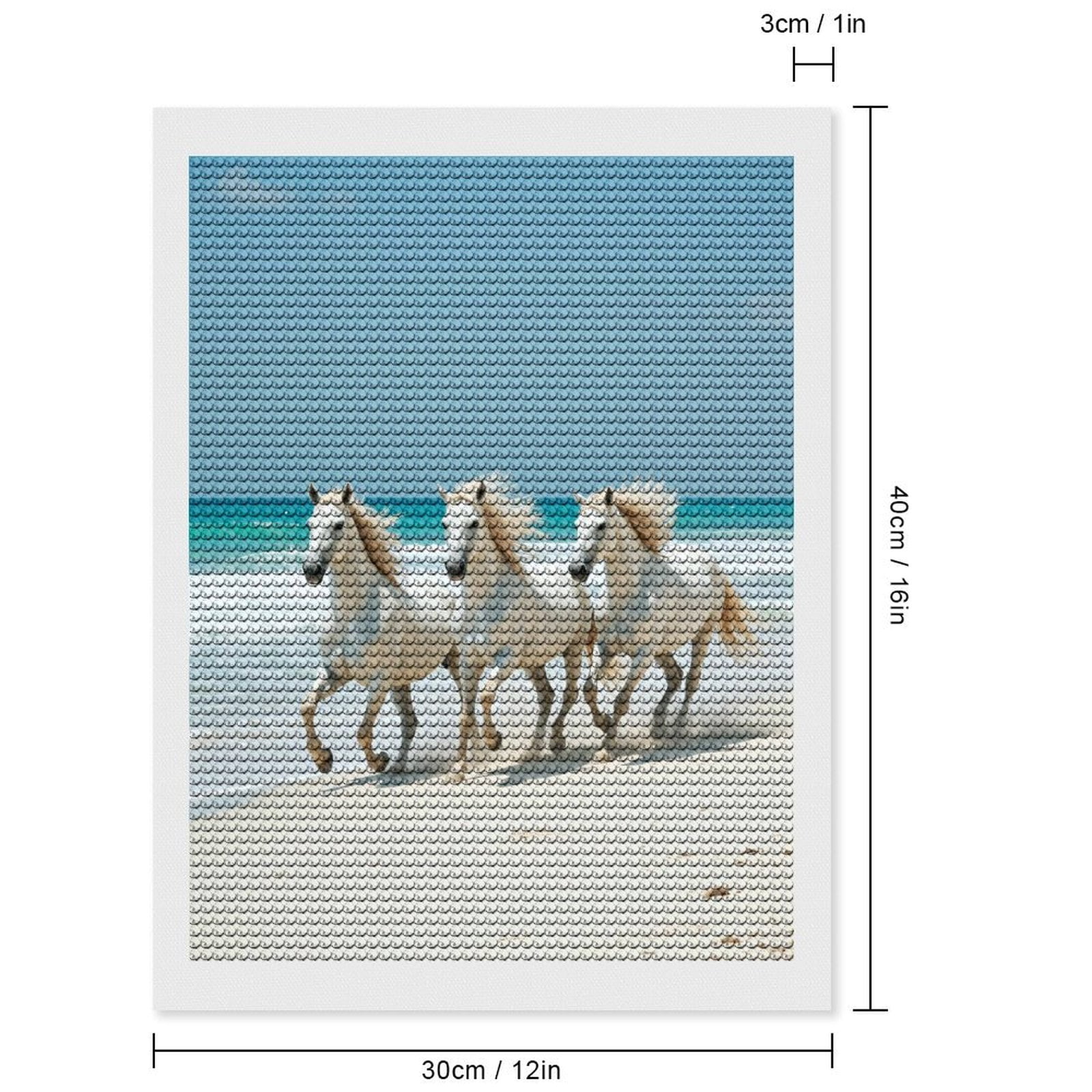 Diamond Art Kits for Adults, White Horses Beach Run 5D Diamond Painting Kits for Adults Beginners, DIY Full Drill Diamond Painting, Gem Art and Crafts 12x16