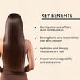 thumbnail image 3 of Moehair Protein Infused Shampoo and Leave-in Conditioner Combo (12 Fl Oz Each) | For All Hair Types | Regular Hair Care | Sulfate and Paraben-Free, 3 of 6