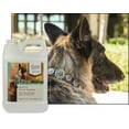 thumbnail image 3 of UltraCruz® Canine Shampoo, 1 gallon, 3 of 5