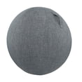 thumbnail image 1 of tredstone Dustproof And Waterproof Skin Wrap For Yoga Ball Protection Portable Handle navy blue 65cm, 1 of 6