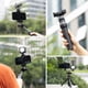 thumbnail image 2 of Trípode Mini TELESIN con cabezal giratorio 360° - Soporte universal para celulares, cámaras y vlogging, extensible de 22cm a 51cm, peso máximo 2kg, ideal para fotografía y videos creativos., 2 of 6
