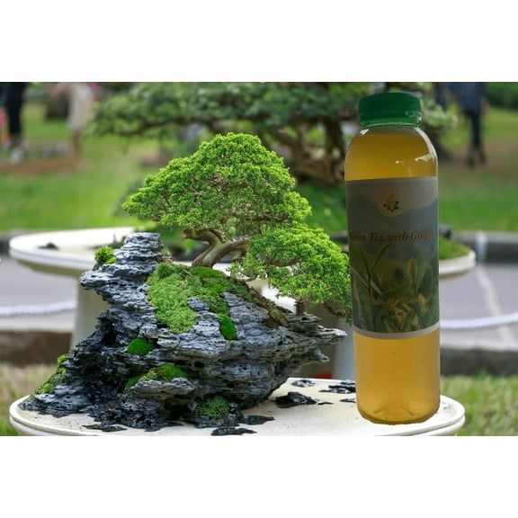 Green Ginger Tea
