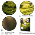 thumbnail image 3 of Designart "Ferns' Wonderland In The Green World V" Ferns Floater Framed Canvas Wall Art, 3 of 5