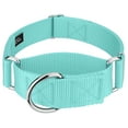 thumbnail image 3 of Country Brook Petz® 1 1/2 inch Light Cyan Martingale Heavyduty Nylon Dog Collar, Large, 3 of 7