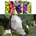 thumbnail image 4 of 100 Pieces Garden Grape Fruit Protection Bags Forest Fruit Vegetable Bed Flowers Pest Control Net Bags Insect Isolation Bags (220 320mm, White), 4 of 5