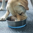 thumbnail image 4 of Silicone Stainless Steel Pet Dog Bowl Water Basin Anti-Slip Bottom Large Capacity, 4 of 5