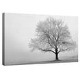 thumbnail image 4 of Masterpiece Art Gallery Winter Tree Serenity by Ilona Wellmann Canvas Photo Art Print 22" x 28", 4 of 4