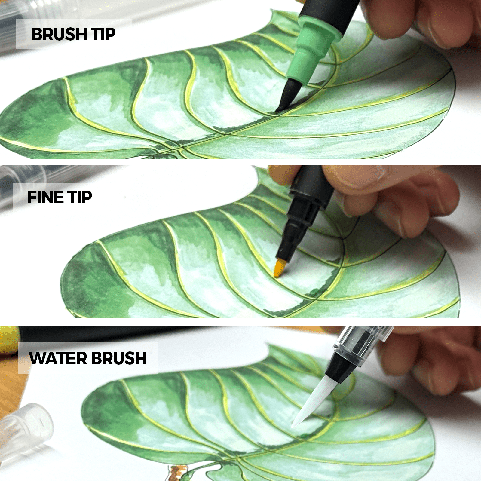 Zieler® 18 Brush & Fine Tip Pens with Water Brush