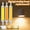 Cool White, variant on Kiplyki 20W Super Bright Dimmable Led R7s Glass Tube Cob Bulb Ceramics 118mm R7s Corn L