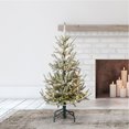thumbnail image 2 of Evergreen Classics Snowy Abies Pine 4 Foot Prelit Artificial Christmas Tree, 2 of 11