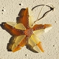 thumbnail image 3 of HHBEAUTY Marine Animals Christmas Tree Ornament,Sea Glass Christmas Tree Decorations,2025 New Starfish Handmade Sea Glass Christmas Tree Decor,Christmas Pendants Decor with Rope,for Sea Lovers, 3 of 9