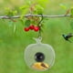 thumbnail image 5 of Comedero inteligente para pájaros con cámara HD 1080P y visión nocturna | Visión remota por wifi y punto de acceso para observar aves al aire libre | Control mediante app móvil para capturar fotos y, 5 of 9