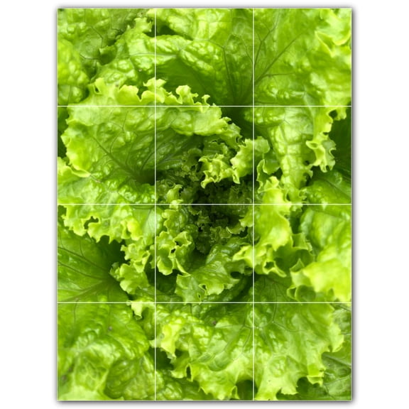 Picture-Tiles.com: Fruit Ceramic Tile Wall Mural WAL500716-34M. 18"W x 24"H using (12) 6" x 6" Ceramic Tiles-Satin Finish