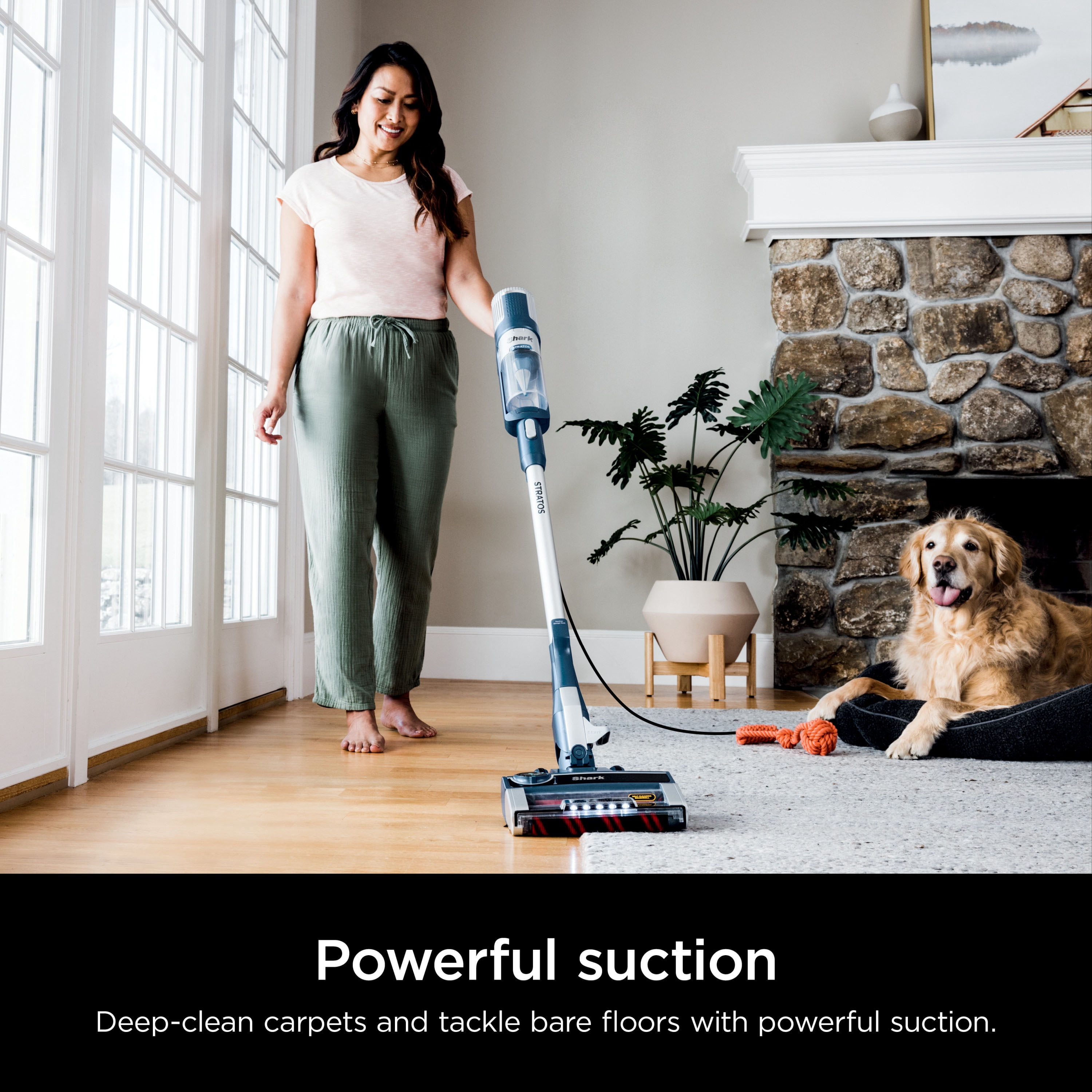 Shark Cordless Handheld Vacuum Cleaner - Powerful Suction