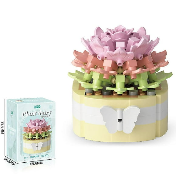 Succulent Building Set, Succulent Bonsai Botanical Decor Collection Building Kit, Build a Succulents Plants Display Piece for Home or Office, Ideal Gi