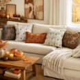 thumbnail image 4 of Fall Pumpkin Plush Pillow Covers 12x20, Faux Fur Decorative Cushion Cases for Couch, Halloween Decor for Living Room Bedroom, 2 Set, Cream White Brown Stem, 4 of 7
