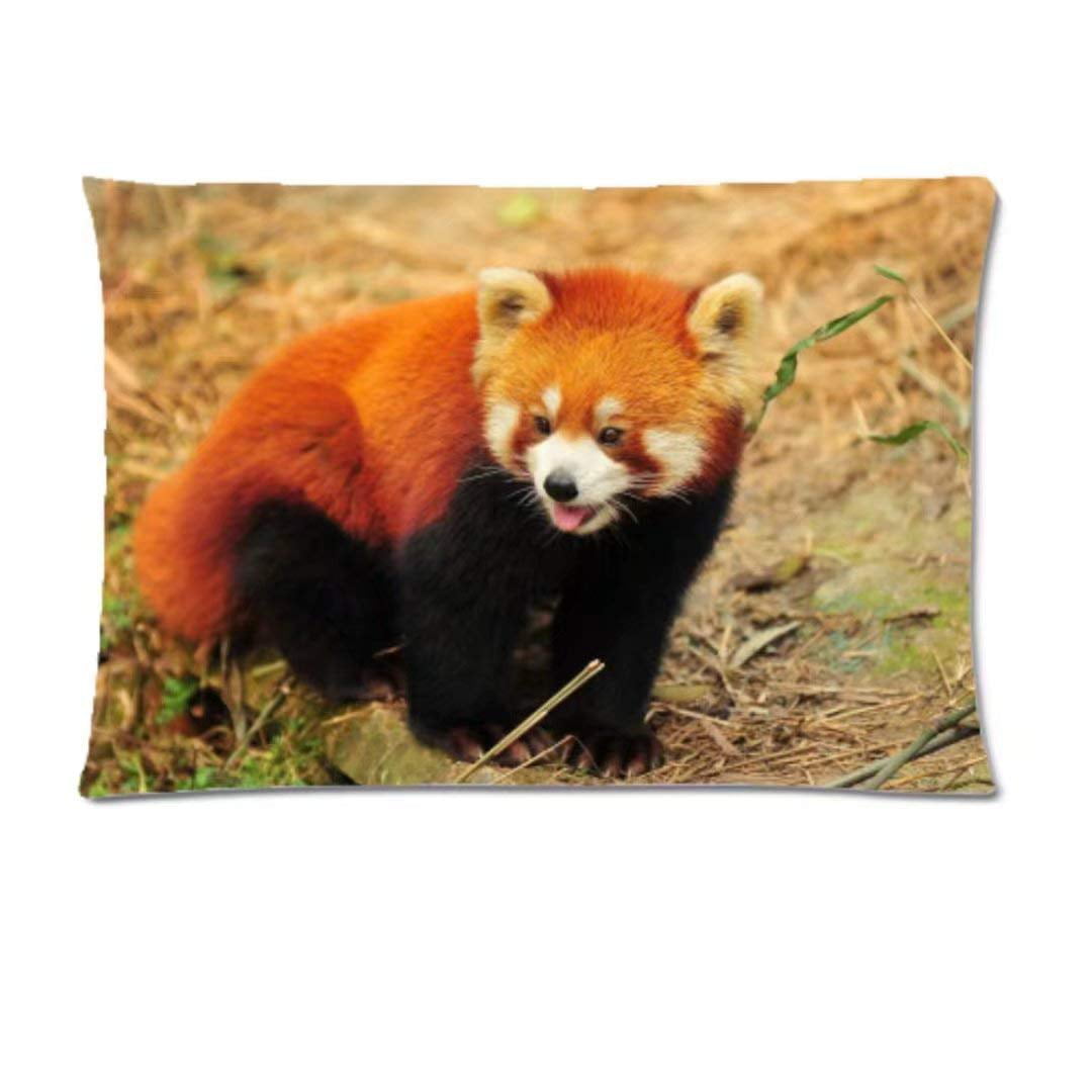 CafePress Red Panda Standard Size Pillow Case 20"x30" 1410835651 