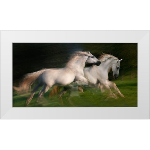 Malovrh, Milan 14x9 White Modern Wood Framed Museum Art Print Titled - gallop for two