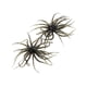 thumbnail image 5 of 2 piezas de pesca atrae a la pesca portátil con ganchos para perch bluegill lake Verde, 5 of 8