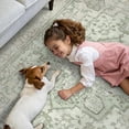 thumbnail image 3 of Area Rugs x for Living Room Machine Washable Rug for Hallway Kitchen Low Pile Print Rug for Bedroom Dining Room Home Office, 3 of 8