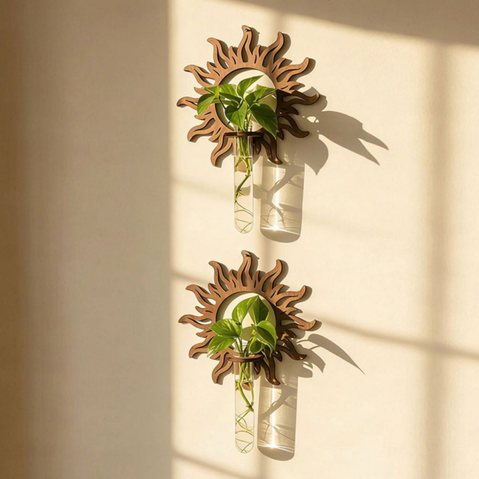 Wooden Sun Shaped Wall Hanging Planter Propagation Station Glass Flower Vase for Hydroponics Plants, Bathroom, Home Office Living Room Decor Gift