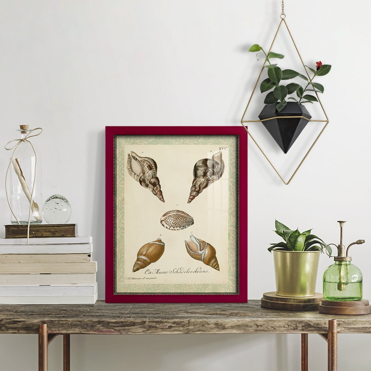 Bookplate Shells VIII - Framed Print w/glass - Cherry Red