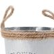 thumbnail image 4 of 2x Cubos de Hierro Galvanizado Shabby Chic, Maceter Pntas, Jarrones para Flores, Balcón para El Hogar, Decoración Floral Baoblaze Maceta Cubo Maceta, 4 of 8