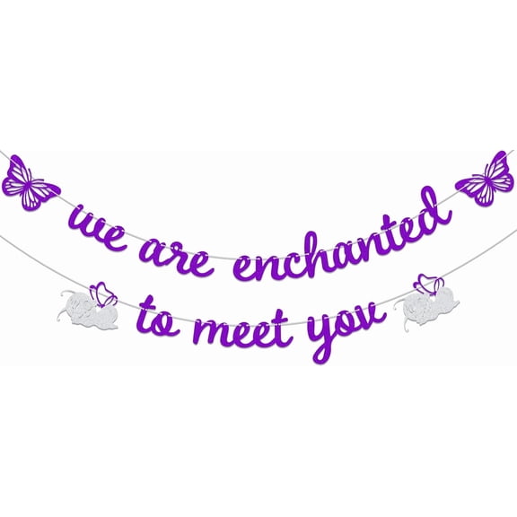 We Are Enchanted To Meet You Banner,Baby Shower Party Decorations,Welcome Baby Gender Reveal Party Decorations Supplies Purple