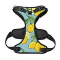 thumbnail image 5 of Junzan Lemon Pattern Dog Harness - Lightweight,Soft,Adjustable Small Harness And Leash Set-Large, 5 of 8