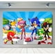 thumbnail image 3 of Fondo de fotografía de Sonic, el erizo de velocidad, héroe corredor, fondo de fotografía de dibujos animados para cumpleaños de niños, accesorios de vinilo de poliéster rojo y azul, 3 of 5