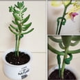 thumbnail image 2 of Plant Support Flower Stand Succulent Phalaenopsis Rod Anti-lodging Leaf Bracket, 2 of 8