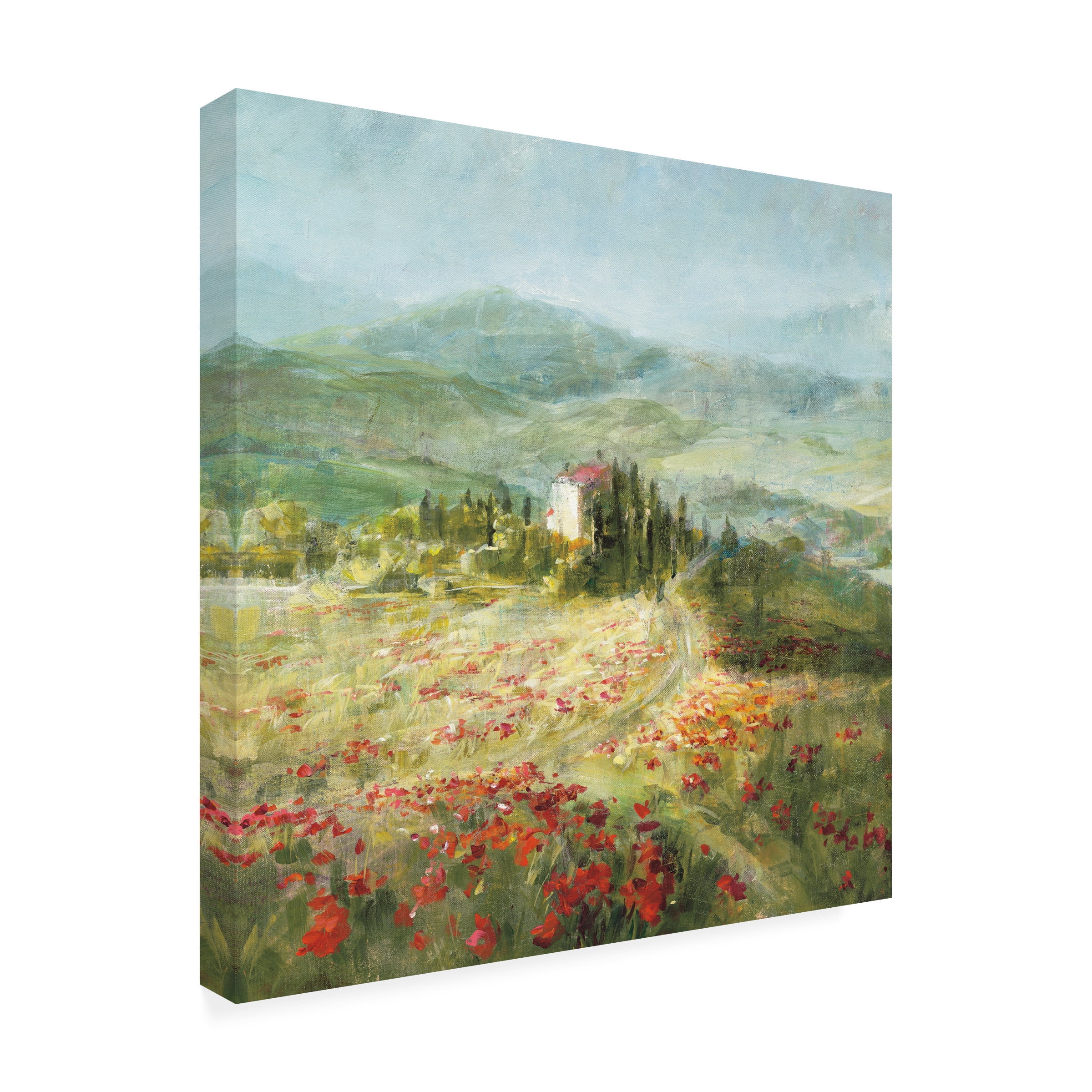 Trademark Fine Art 'Summer in Provence Crop' Canvas Art by Danhui Nai