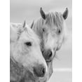 thumbnail image 2 of Walker, Carol 12x14 Black Ornate Wood Framed with Double Matting Museum Art Print Titled - Horse Kisses, 2 of 4