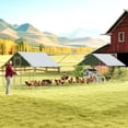 thumbnail image 2 of PawHut Chicken Run, Large Metal Chicken Coop w/ Cover, for 24-30 Chickens, 2 of 10