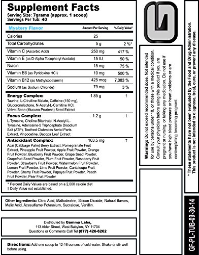 Gamma Labs G Fuel Mystery Flavor 40 Servings 280 G Walmart