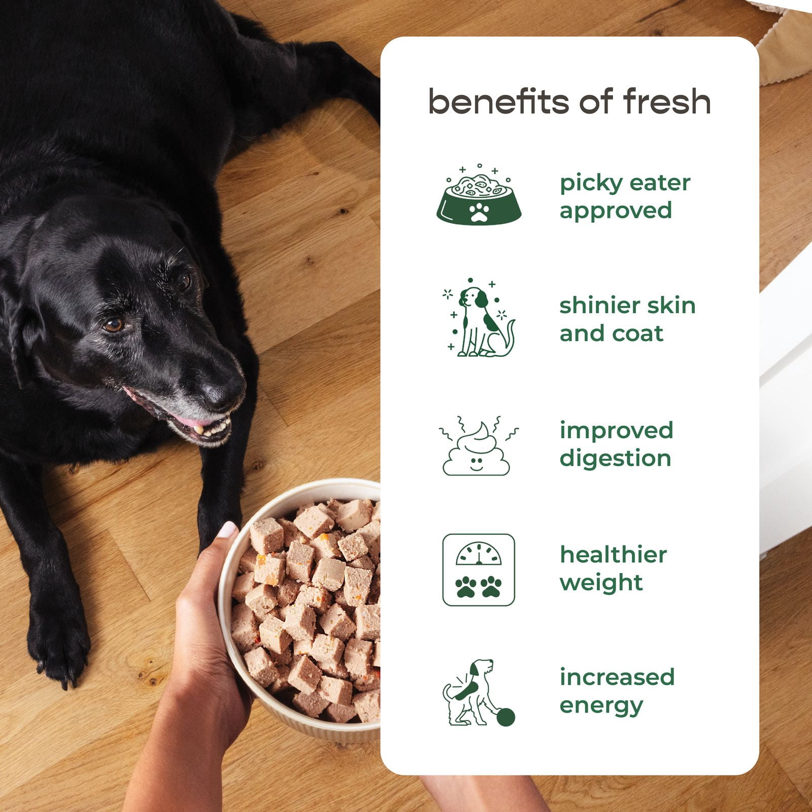 Freshpet Fresh Dog Food, Slice & Serve Roll, Multi-Protein Recipe, 5 lb.