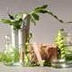 thumbnail image 4 of BESTYASH 6Ud De Propagación Amarillos Para Plantas En Hidroponía Con Moderno Para, 4 of 7