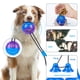 thumbnail image 3 of Pelota de juguete con fugas de ventosa para mascotas - ventosa doble + azul púrpura redondo Adepaton 2034733-1, 3 of 9